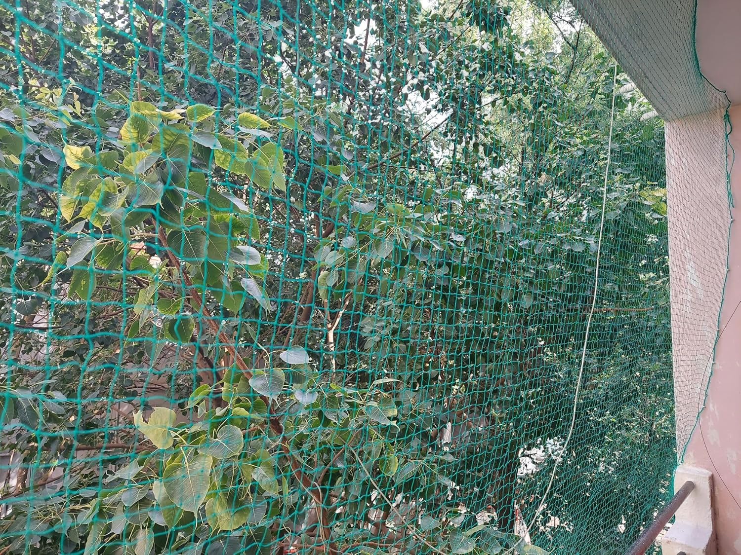 3 LAYER SAFETY NETS — view 2