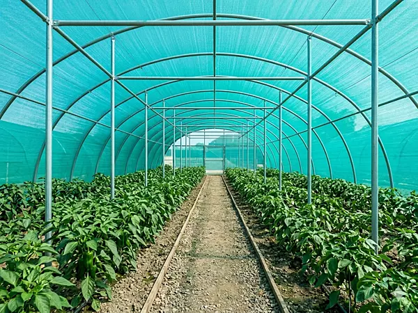 Agriculture Shade Green Net(3x50m) — view 3