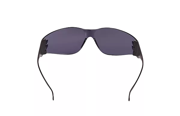 Karam ES001 SMOKED Goggles — view 2